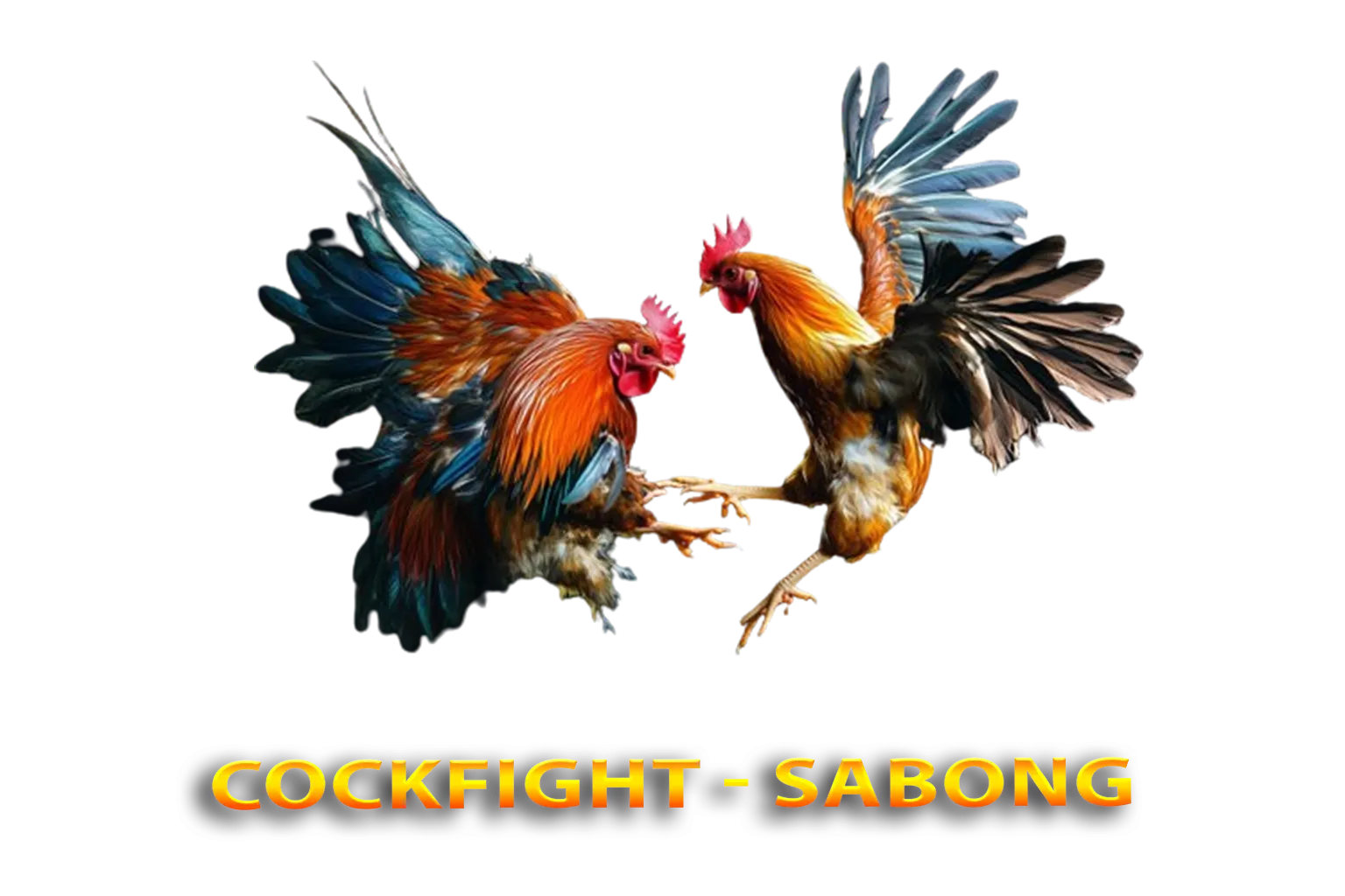 Cockfight